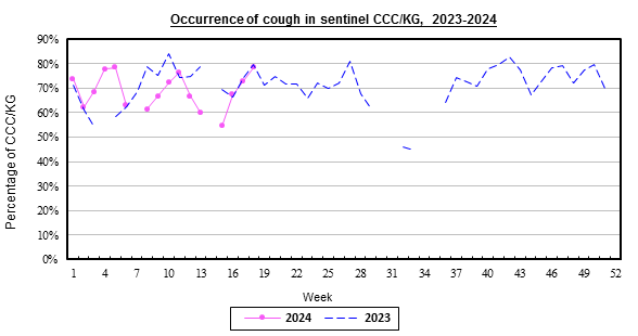 Weekly chart for occurrence of cough in sentinel CCC/KG, 2023-2024.  The activity of cough in week 15 was at baseline level.