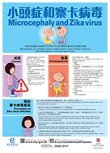 Microcephaly and Zika virus