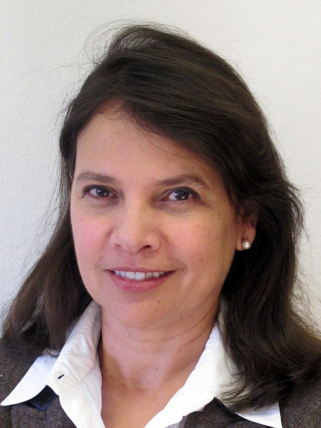 Dr Carmem L. PESSOA-SILVA Dr Carmem L. PESSOA-SILVA