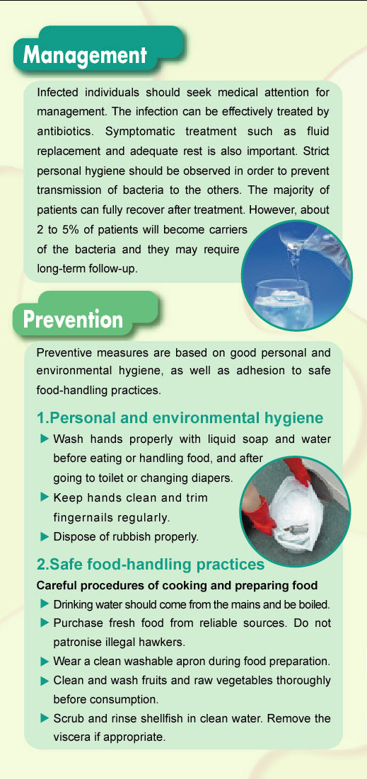 Centre for Health Protection Typhoid and Paratyphoid Fever