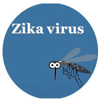 Prevention of Zika virus infection 